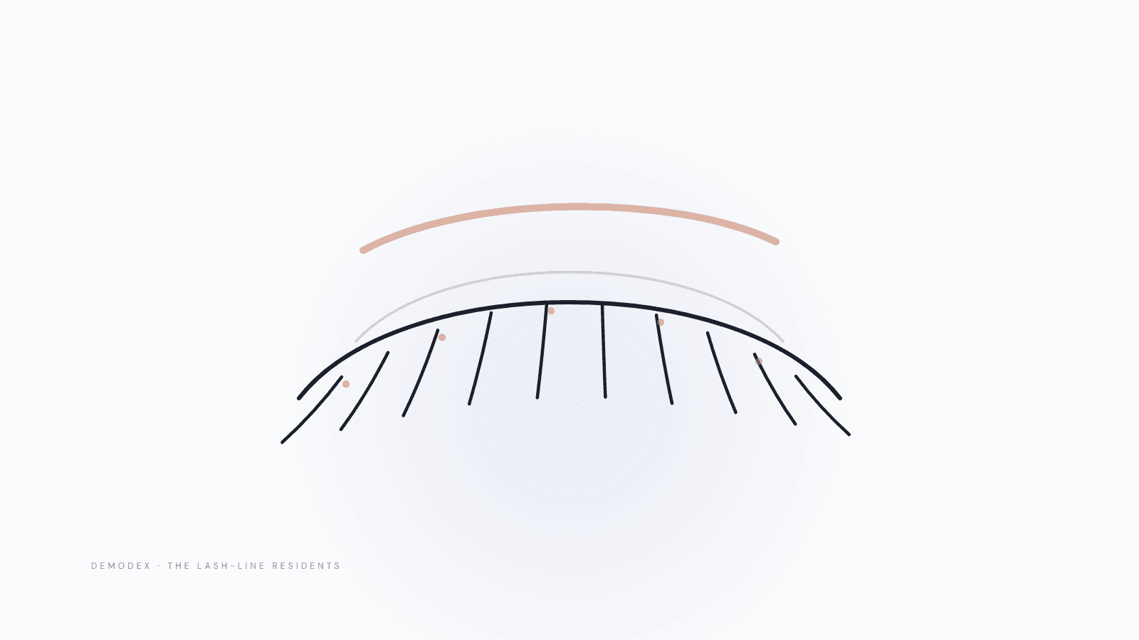 Illustrated closed eye with lashes and tiny follicle dwellers — Demodex eyelash mites and eyelid-margin hygiene, Prospela