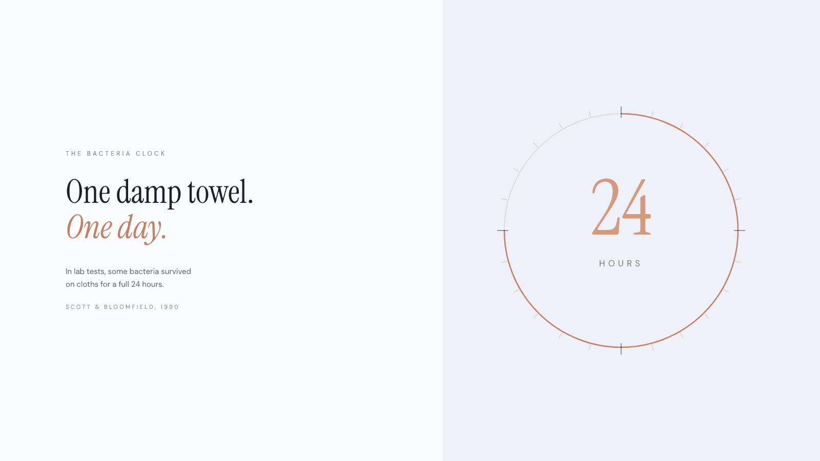 Editorial 24-hour clock illustration for an article on face towel bacteria, Prospela
