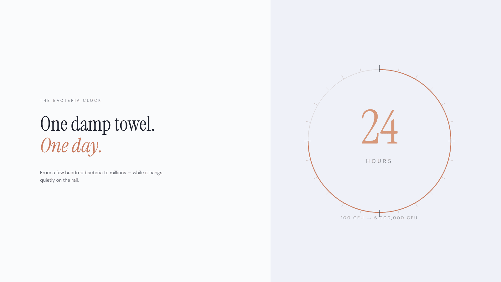 Editorial 24-hour clock illustration — bacteria growth on a damp face towel over one day, Prospela