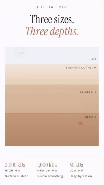 Not another moisturizing from prospela. With three different molecular weights of hyaluronic acid this moisturizer is not only sitting on the top layer of your skin. It’s penetrating deep to moisturize from within.